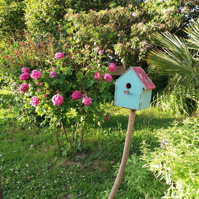 Bed and Breakfast Le Domaine de Kerlys Briec Exterior foto